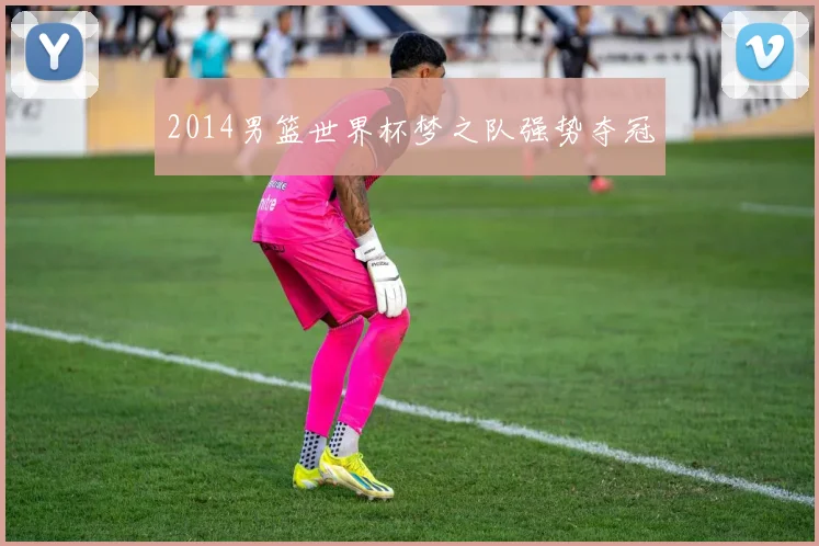 2014男篮世界杯梦之队强势夺冠